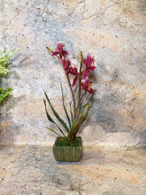 Laden Sie das Bild in den Galerie-Viewer, Elegant Artificial Orchids Display in 20 cm Tall Plant Pot - Lifelike Home Decor-OsirisTradingUK
