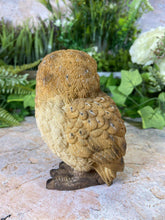 Load image into Gallery viewer, Adorable Baby Owl Resin Garden Ornament Lawn Decoration Patio Decor-OsirisTradingUK
