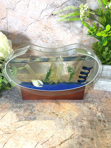 Sea Themed Shell Glass Jelly Candle on Wooden Stand - 23 cm x 16.5 cm - Nautical Home Decor, Coastal Ambiance-OsirisTradingUK