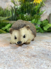 Load image into Gallery viewer, Adorable Realistic Hedgehog Figurine Perfect Garden Ornament Lawn Decor-OsirisTradingUK
