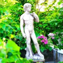 Laden Sie das Bild in den Galerie-Viewer, Michelangelo’s David 109cm Stone-Effect Statue - Elegant Garden Ornament
