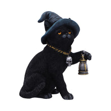 Load image into Gallery viewer, Fantasy Witch Cat Figurine Gothic Cat Familiar Lantern &amp; Skull Necklace Statue
