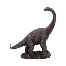 Load image into Gallery viewer, Realistic Brachiosaurus Figurine Dinosaur Fossil Themed Shelf Display Ornament
