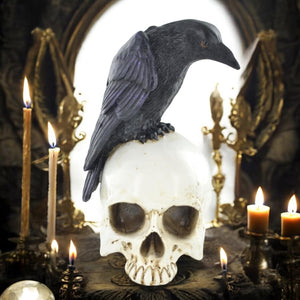 Raven on Skull Figurine | Gothic Resin Halloween Decor Pagan Altar