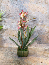 Laden Sie das Bild in den Galerie-Viewer, Elegant Artificial Orchids Display in 20 cm Tall Plant Pot - Lifelike Home Decor-OsirisTradingUK
