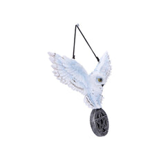 Load image into Gallery viewer, Mystical Snowy Owl Hanging Pagan Pentacle Talisman Wiccan Witchcraft Wall Art
