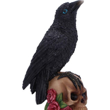 Load image into Gallery viewer, Raven on Skull Gothic Figurine Celtic Rose Base Ornament Occult Horror Statue
