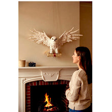 Load image into Gallery viewer, Magical Owl Wall Statue Hanging Fantasy Gothic Bird Ornament Collectible Decor
