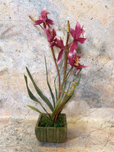 Load image into Gallery viewer, Elegant Artificial Orchids Display in 20 cm Tall Plant Pot - Lifelike Home Decor-OsirisTradingUK
