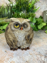 Load image into Gallery viewer, Hilarious Handmade Resin Owl Figurine - Whimsical Decor for a Joyous Touch Home Decoration Owls Collection Garden Ornament-OsirisTradingUK
