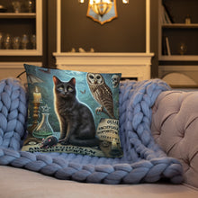 Load image into Gallery viewer, Magical World Inspired Cushion | Enchanted Black Cat, Owl &amp; Ouija Board Design | Witchy Home Decor | Mystical Gothic Pillow
