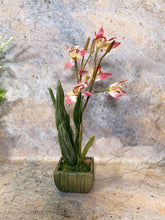 Charger l&#39;image dans la galerie, Elegant Artificial Orchids Display in 20 cm Tall Plant Pot - Lifelike Home Decor-OsirisTradingUK
