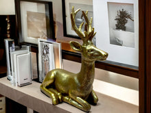 Load image into Gallery viewer, Exquisite Resin Deer Statue, Elegant Woodland Stag Figurine – Rustic Wildlife Home Decor, Perfect for Nature-Themed Spaces &amp; Animal Lovers-OsirisTradingUK
