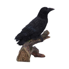 Load image into Gallery viewer, Raven Perched Gothic Figurine Witchy Wildlife Decor Mythical Bird Wiccan Statue
