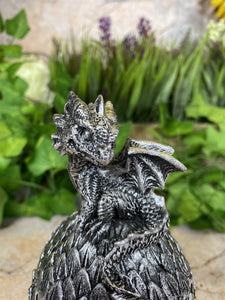 Dragon Trinket Box Figurine | Mystical Resin Storage | Fantasy Decorative Box | Mythical Creature Keepsake | Boxed Dragon Statue
