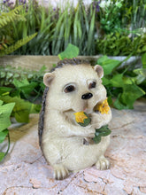 Load image into Gallery viewer, Whimsical Hedgehog Garden Ornament Handmade Resin Figurine Home Decor-OsirisTradingUK
