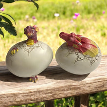 Charger l&#39;image dans la galerie, Set of Dragon Egg Hatchlings Figurines – Adorable Dragon Baby Decor Collectibles
