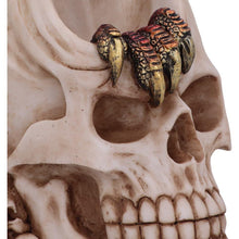 Laden Sie das Bild in den Galerie-Viewer, Gothic Dragon Skull Backflow Incense Burner - Fantasy Statue Home Decor 23.5cm
