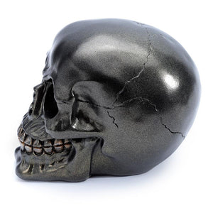 Occult Black Skull Sculpture - Gothic Halloween Home Decor Ornament