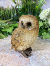 Load image into Gallery viewer, Adorable Baby Owl Resin Garden Ornament Lawn Decoration Patio Decor-OsirisTradingUK
