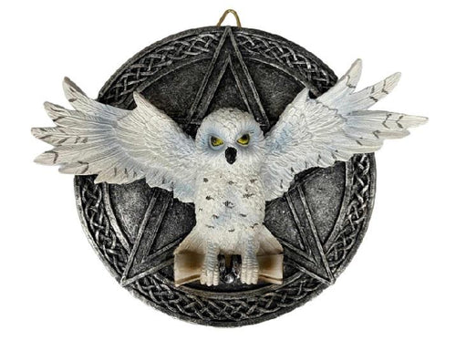 Mystical Pentagram Owl Wall Plaque - Gothic Wiccan Decor - Pagan Occult Art Resin-OsirisTradingUK