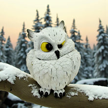 Load image into Gallery viewer, Enchanting Owl Trinket Box Container Figurine Wildlife Ornament Home Decor
