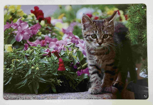 Whimsical Kitten Amongst Flowers Metal Sign Adorn Your Space with Playful Charm Cat Wall Decor Cats Collection-OsirisTradingUK