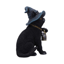 Load image into Gallery viewer, Fantasy Witch Cat Figurine Gothic Cat Familiar Lantern &amp; Skull Necklace Statue
