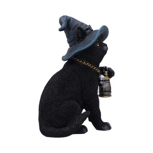 Fantasy Witch Cat Figurine Gothic Cat Familiar Lantern & Skull Necklace Statue