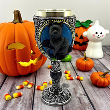 Load image into Gallery viewer, Gothic Black Cat Drinking Goblet Wiccan Chalice Resin Wine Cup Witchcraft Decor
