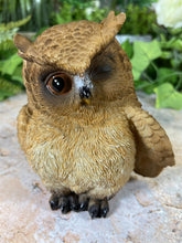 Load image into Gallery viewer, Hilarious Owl Resin Garden Ornament Home Decoration Lawn Decor-OsirisTradingUK
