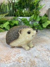 Load image into Gallery viewer, Adorable Realistic Hedgehog Figurine Perfect Garden Ornament Lawn Decor-OsirisTradingUK
