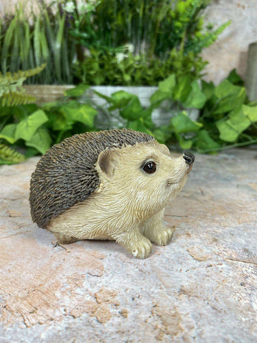Adorable Realistic Hedgehog Figurine Perfect Garden Ornament Lawn Decor-OsirisTradingUK