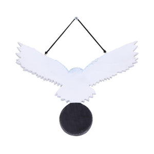 Mystical Snowy Owl Hanging Pagan Pentacle Talisman Wiccan Witchcraft Wall Art