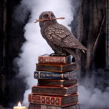 Charger l&#39;image dans la galerie, Bronze Spellcraft Witches Familiar Owl on Book Figurine
