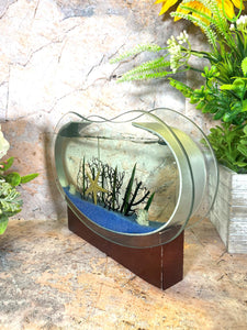 Sea Themed Starfish Gel Glass Candle on Wooden Stand - 23 cm x 16.5 cm - Nautical Home Decor, Coastal Ambiance-OsirisTradingUK