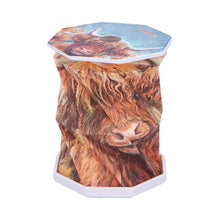 Load image into Gallery viewer, Highland Cow Foldable USB LED Lamp Rechargeable Origami Light Rustic Decor
