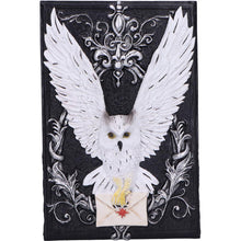 Load image into Gallery viewer, Gothic Owl Messenger Box Wiccan Witchcraft Storage Keepsake Fantasy Ornament
