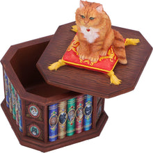 Load image into Gallery viewer, Mad About Cats Storage Box Bookcase Figurine Wiccan Alter Fantasy Ornament
