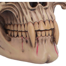 Load image into Gallery viewer, Gothic Dracula Skull Ornament Vampire Fangs Horror Macabre Collectible Decor
