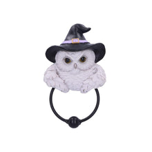 Load image into Gallery viewer, Enchanted Snowy Owl Door Knocker Witchcraft Pagan  Mystical Home Ornament
