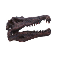Charger l&#39;image dans la galerie, Realistic Spinosaurus Dinosaur Skull Model Replica Skeleton Sculpture Home Gift
