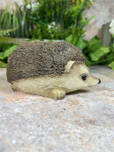 Load image into Gallery viewer, Adorable Realistic Hedgehog Figurine Perfect Garden Ornament Lawn Decor-OsirisTradingUK
