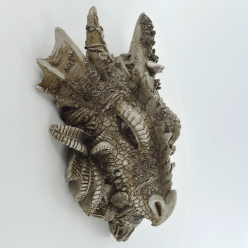 Dragon Head Wall Plaque Mythical Creature Garden Ornament-OsirisTradingUK