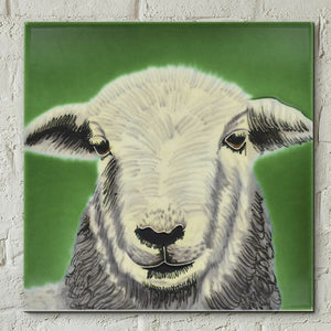 Herdwick Sheep by Sonia Johnson Decorative Ceramic Tile 8x8" Home Wall Decor