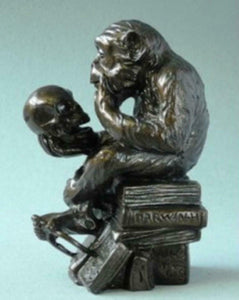 Pocket Art Museum Reproduction Sculpture Monkey with Skull  Darwin