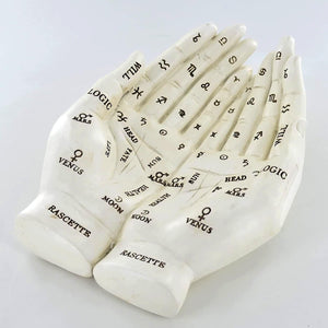 Palmistry Cupping Hands Wall Plaque Palm Reading Home Decor Spiritual