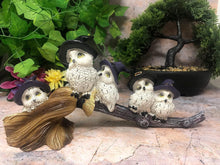 Load image into Gallery viewer, Comical Owl Family Resting on Broom Sculpture Figurine Statue Owls Collectable
