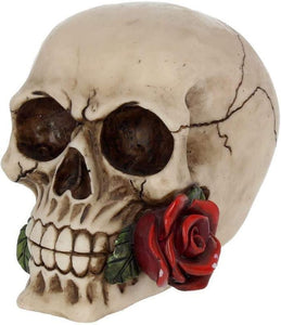 Rose from the Dead' 15cm Gothic Skull-OsirisTradingUK