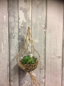 Artificial Hanging Glass Planter Succulent Cactus Plant Home Decor Cacti